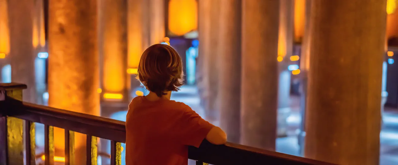 Basilica Cistern Hagia Sophia Entry Tickets W Skip The Ticket Line